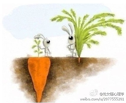 网络21成功系统搬家