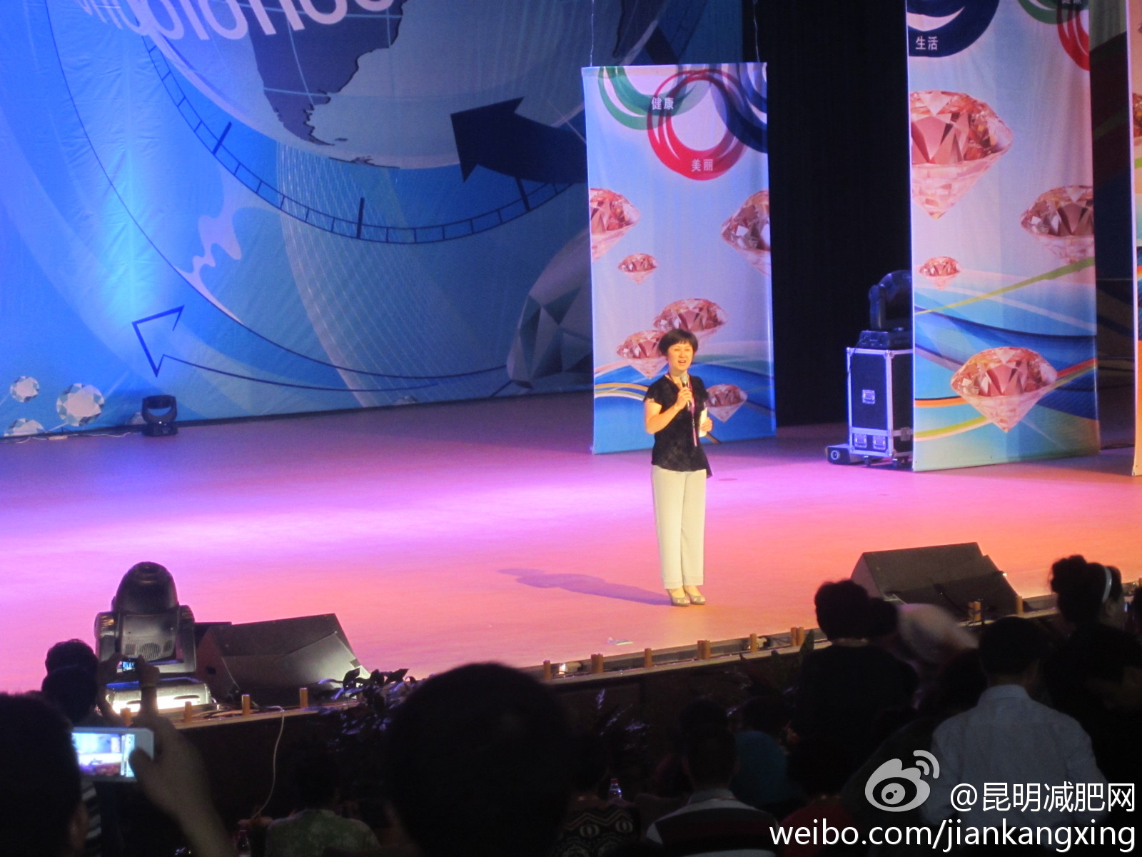 网络21成功系统2012年迈向钻石周末聚会兰薇女士