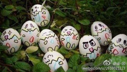 不要在网络21成功系统这个生意里面“孵小鸡” 不要在网络21成功系统这个生意里面“孵小鸡”