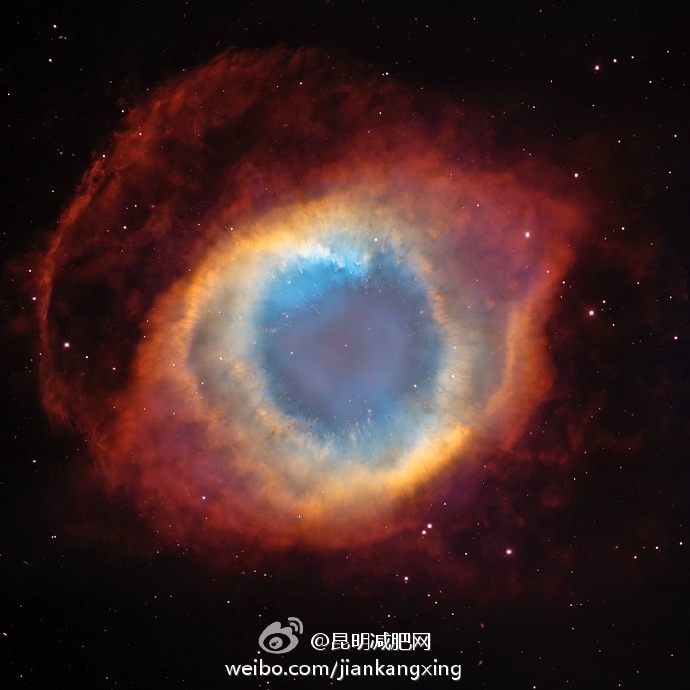 网络21成功系统核心组员
