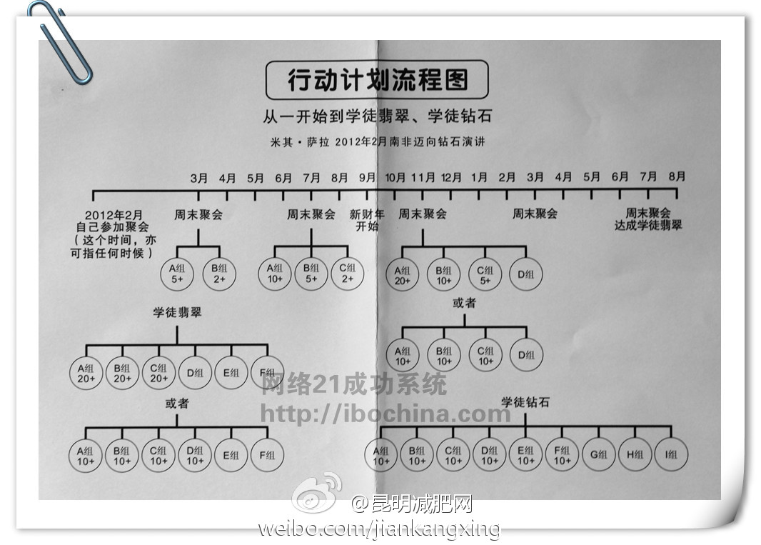 网络21成功系统团队策略行动计划流程图