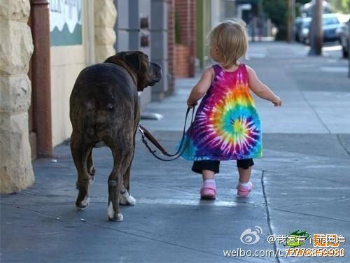 跟随网络21成功系统，而不要跟随某个人